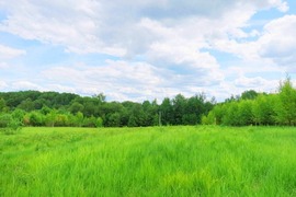 Отличный участок!